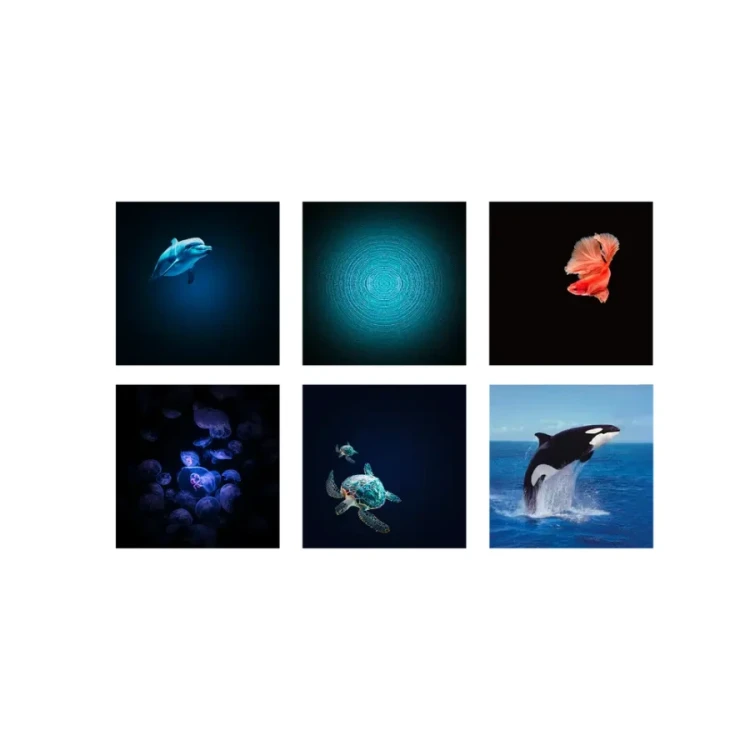 Projektor-KIDYSTAR---Ocean--Kidywolf (15).webp