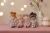 pol_pl_Little-Dutch-Lalka-Ava-35-cm-GRS-5789_9.webp