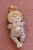 pol_pm_Little-Dutch-Lalka-Julia-40-cm-GRS-5799_6.webp